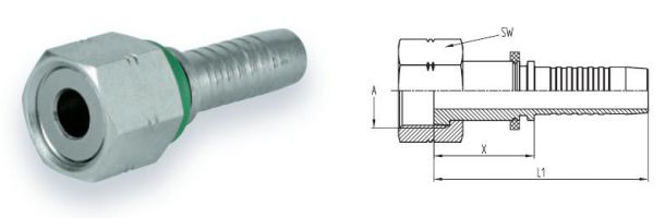 orfs-g11