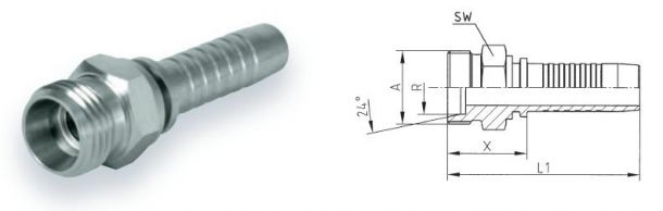 dkol-s12