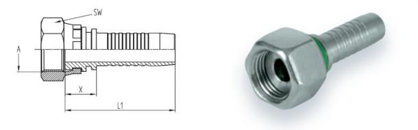 bsp-g11flat