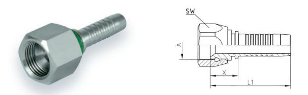 jic-g11